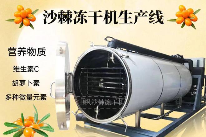 彩神vll沙棘冻干：冻干机带来的健康食品新趋势(图1)