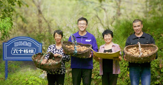 彩神vll六个核桃践行可持续发展理念共绘植物蛋白饮料绿色蓝图(图1)