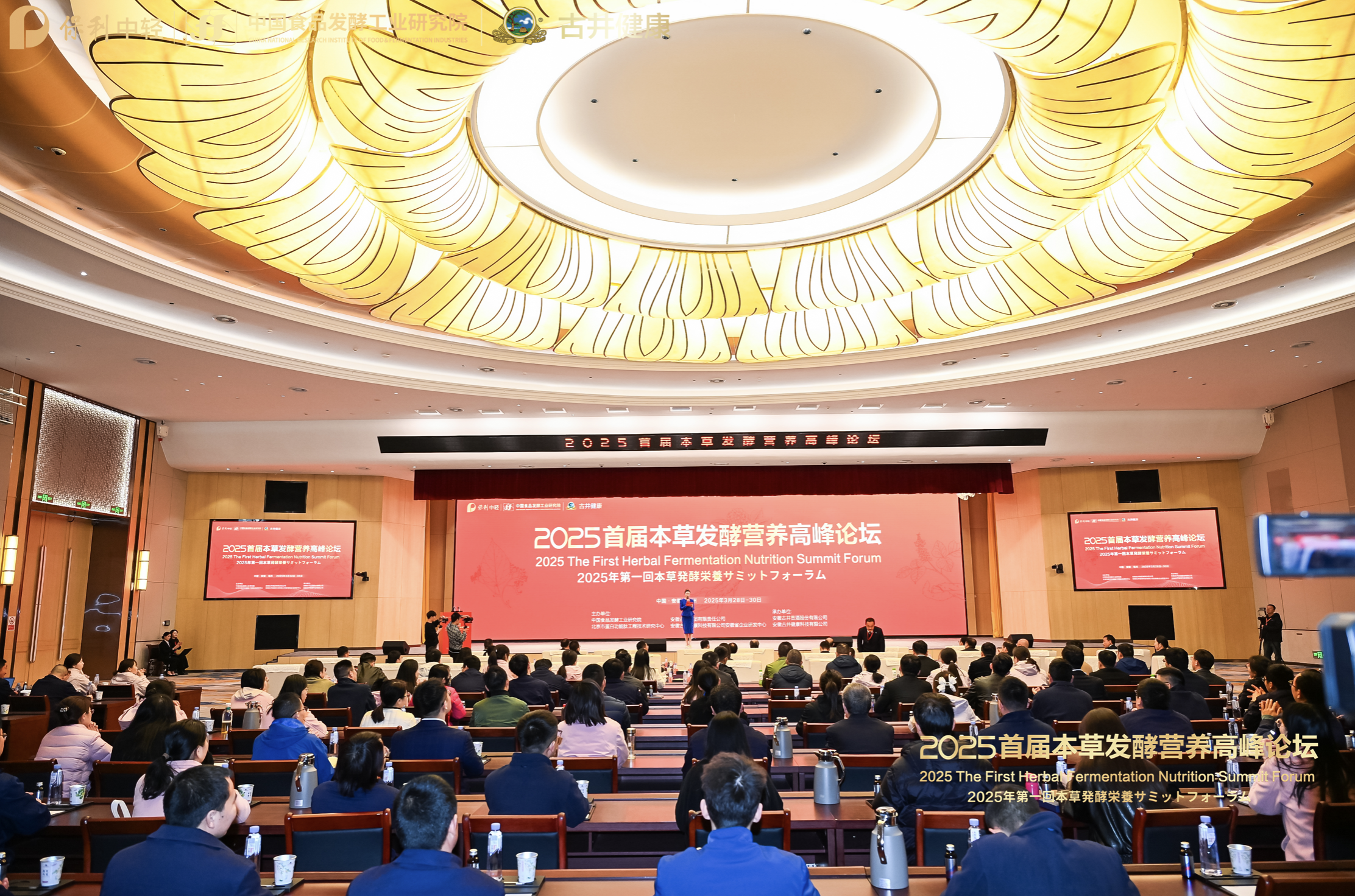 彩神vlletacontent(图2)