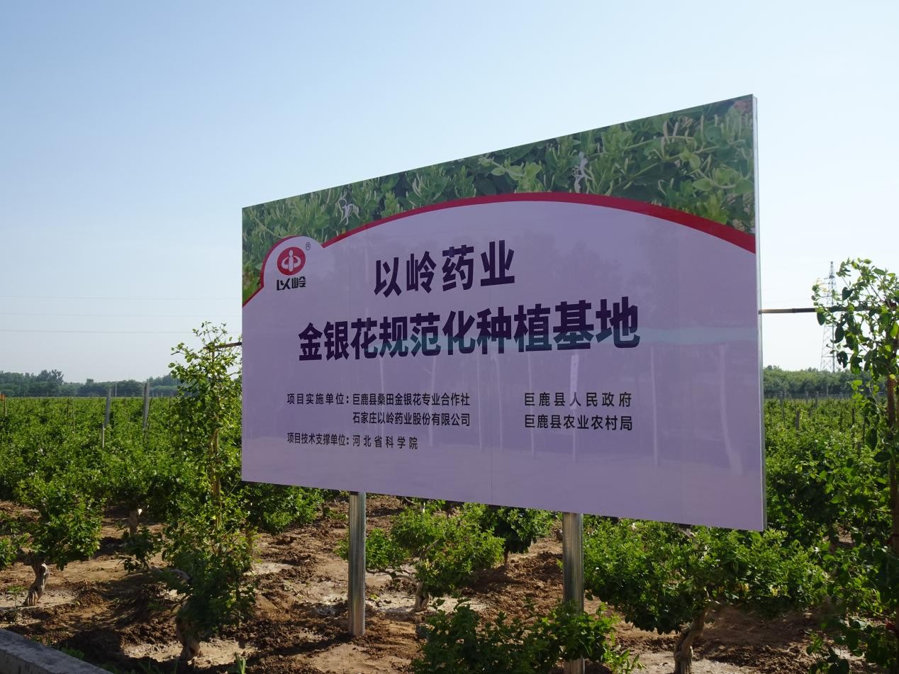 彩神vll健康赛道新顶流？药食同源爆火背后的隐忧：企业不能只
