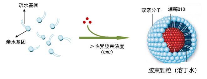 80岁大伯下单1万元给心脏装台能量泵！德国原装辅酶Q10更好吸收彩神vll优享价返场加赠姜黄素饮品(图8)