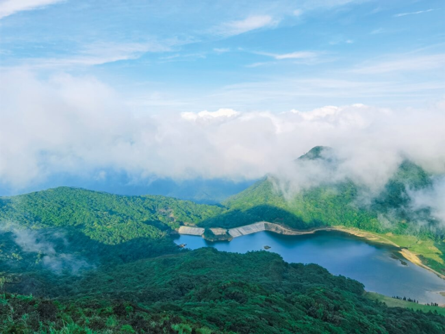 大雾腾云茶4428%黄酮含量背后：一杯“抗衰茶彩神vll”如何撬动中餐健康化新叙事？(图5)